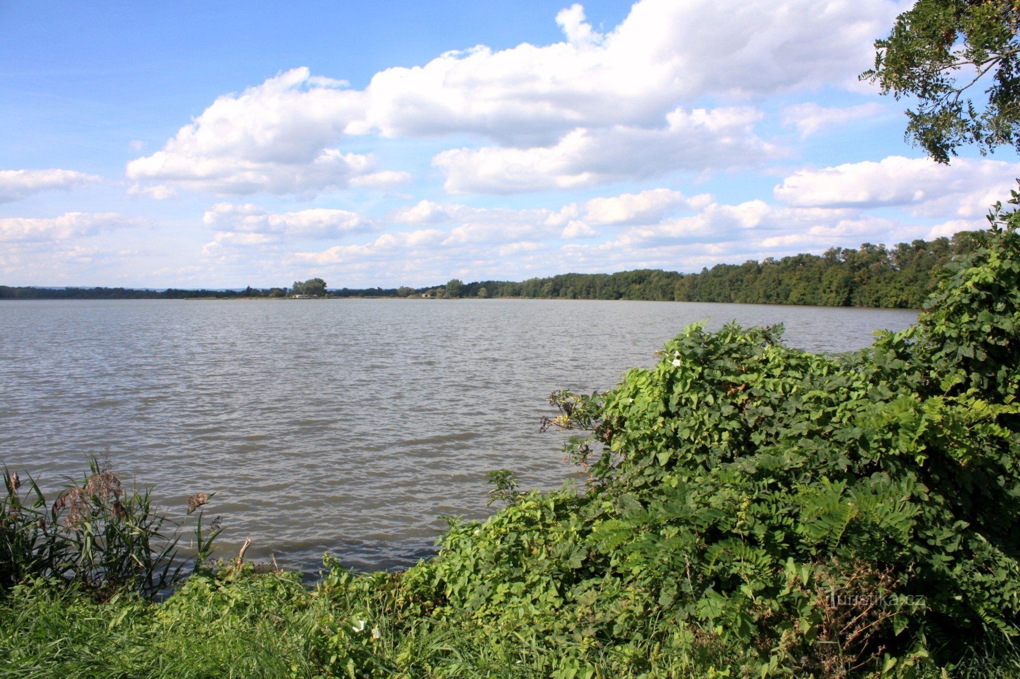 Vista dalla diga a Zámecký rybník