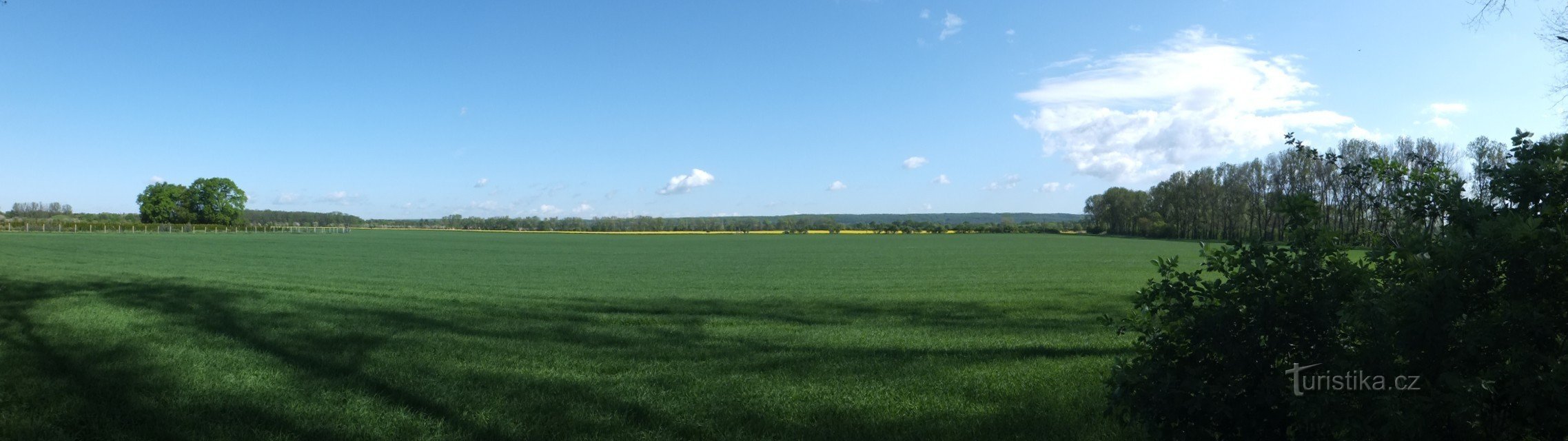 vedere de la barajul iazului spre nord, loc numit „Pe doi cai”.