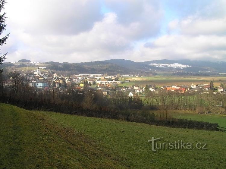 view from the ash trees on Orlické mountains!!