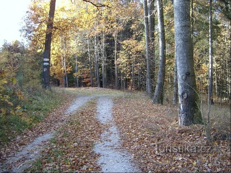 Widok od południa