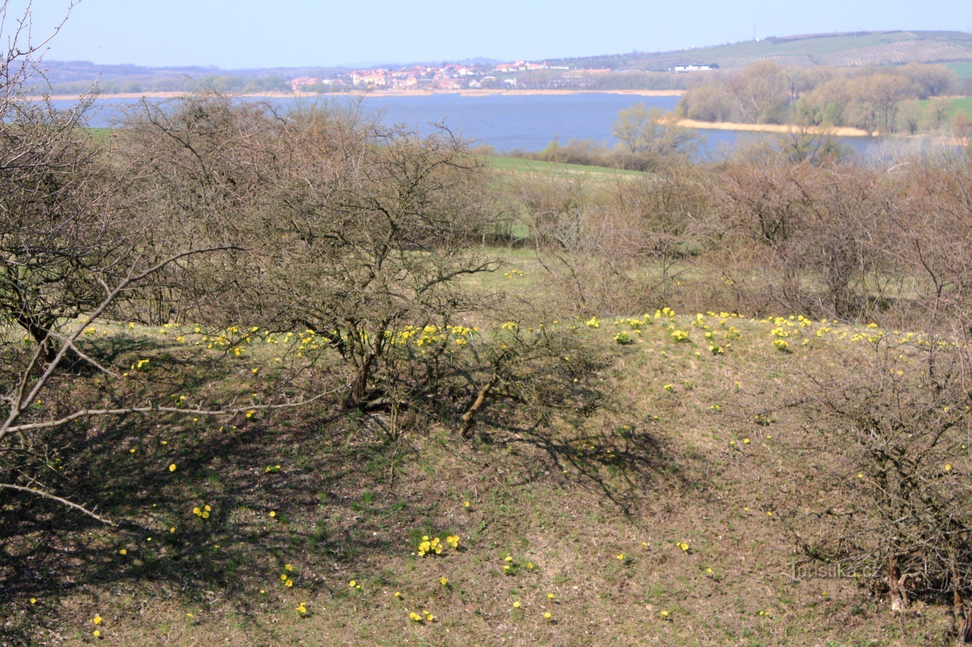 View from Kamenice to the Nesyt pond and the village of Sedlec