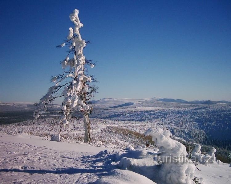 Vedere de la Klínový vrch pe Munții Uriași