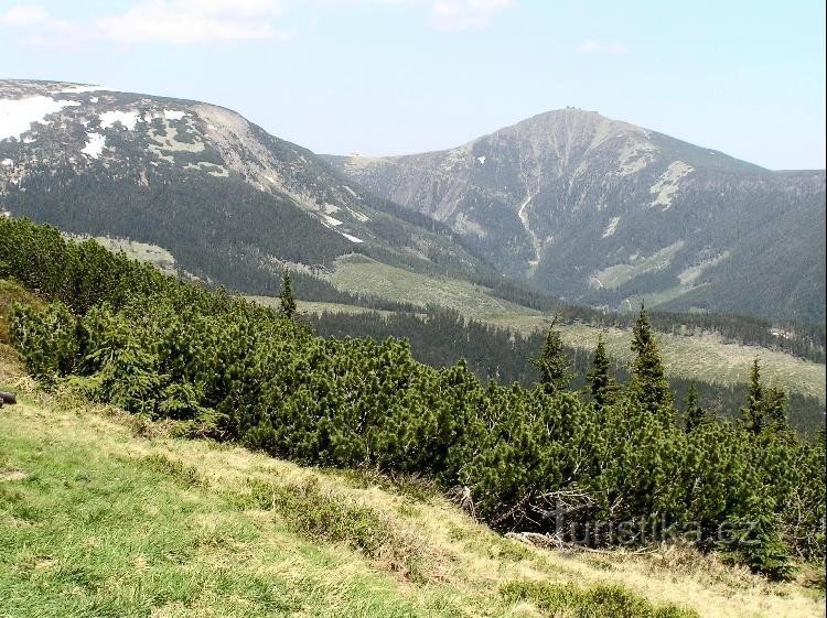 Blick von Liščí hora auf die Schneekoppe