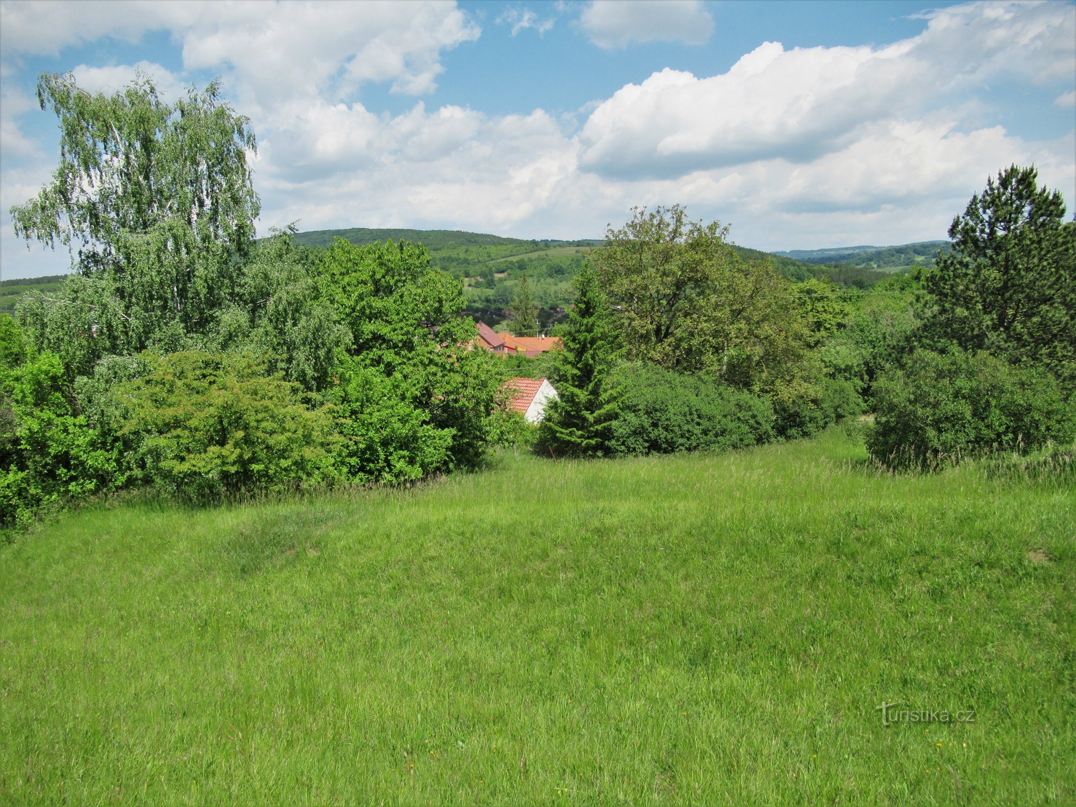 Blick von der Wiese auf Javorník