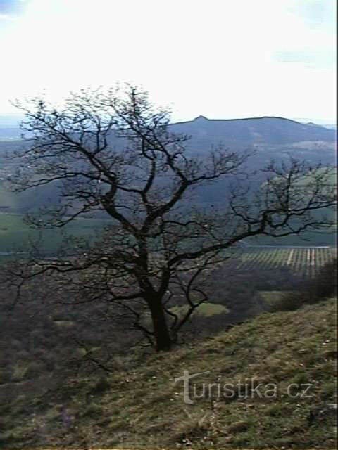 Blick von Lovoš auf Košťálov