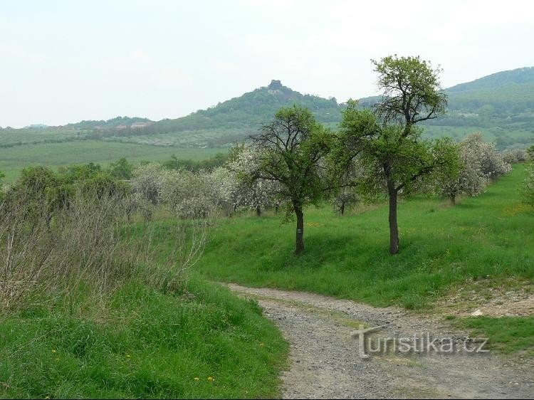 Vue de Malič à Kamýk