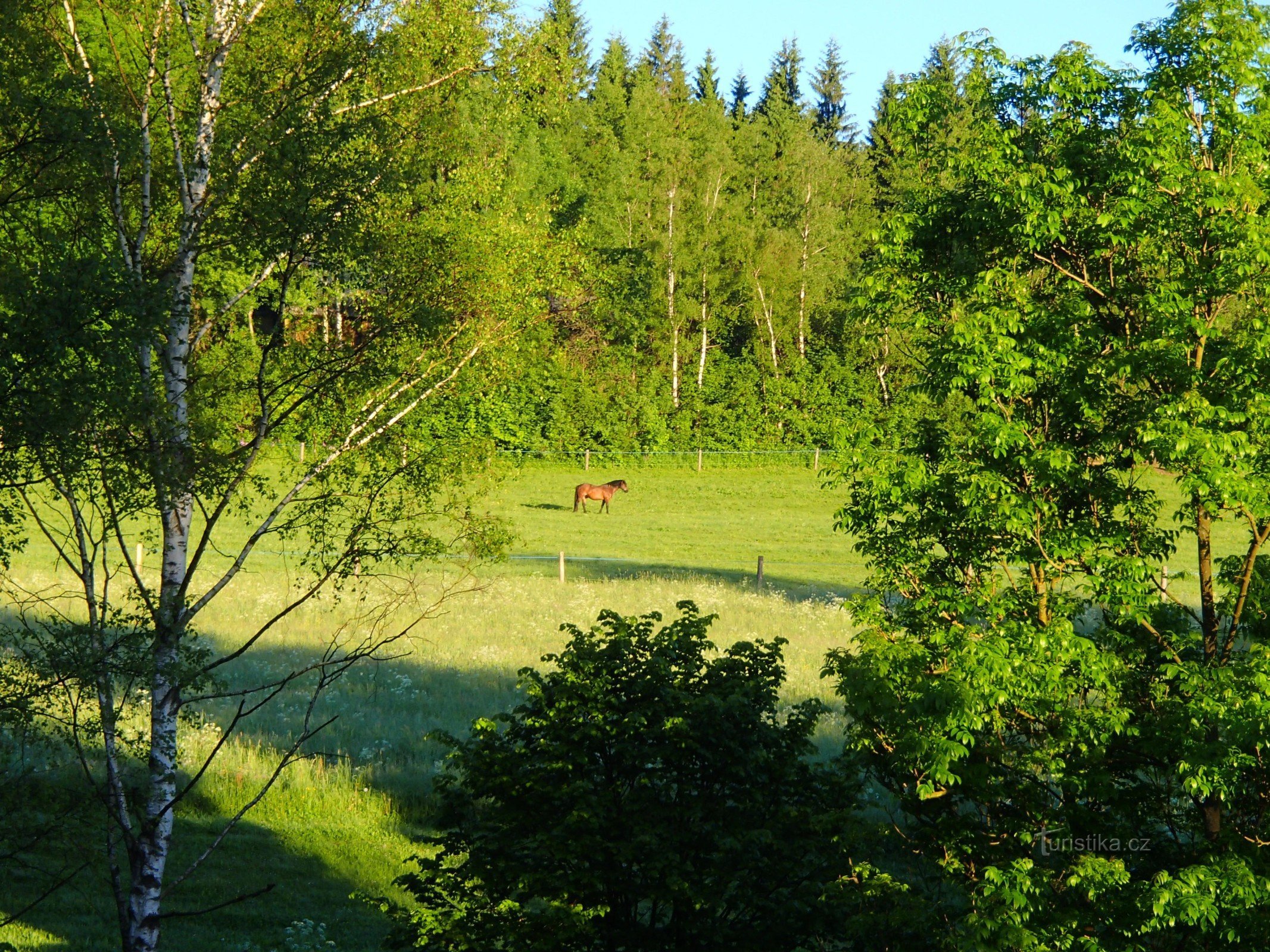 vue depuis la fenêtre de notre chambre d'hôtes