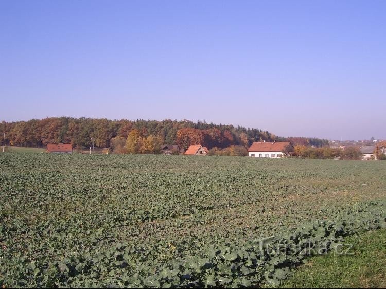 uitzicht op het Rovná-bos vanuit Osada