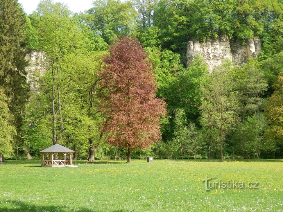 Pohled z parku na část Pelin