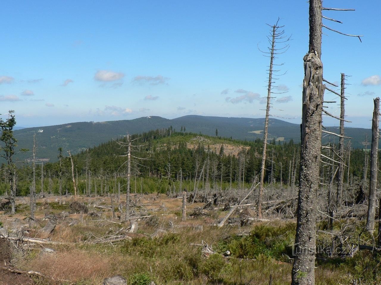 Blick von Polom nach Norden