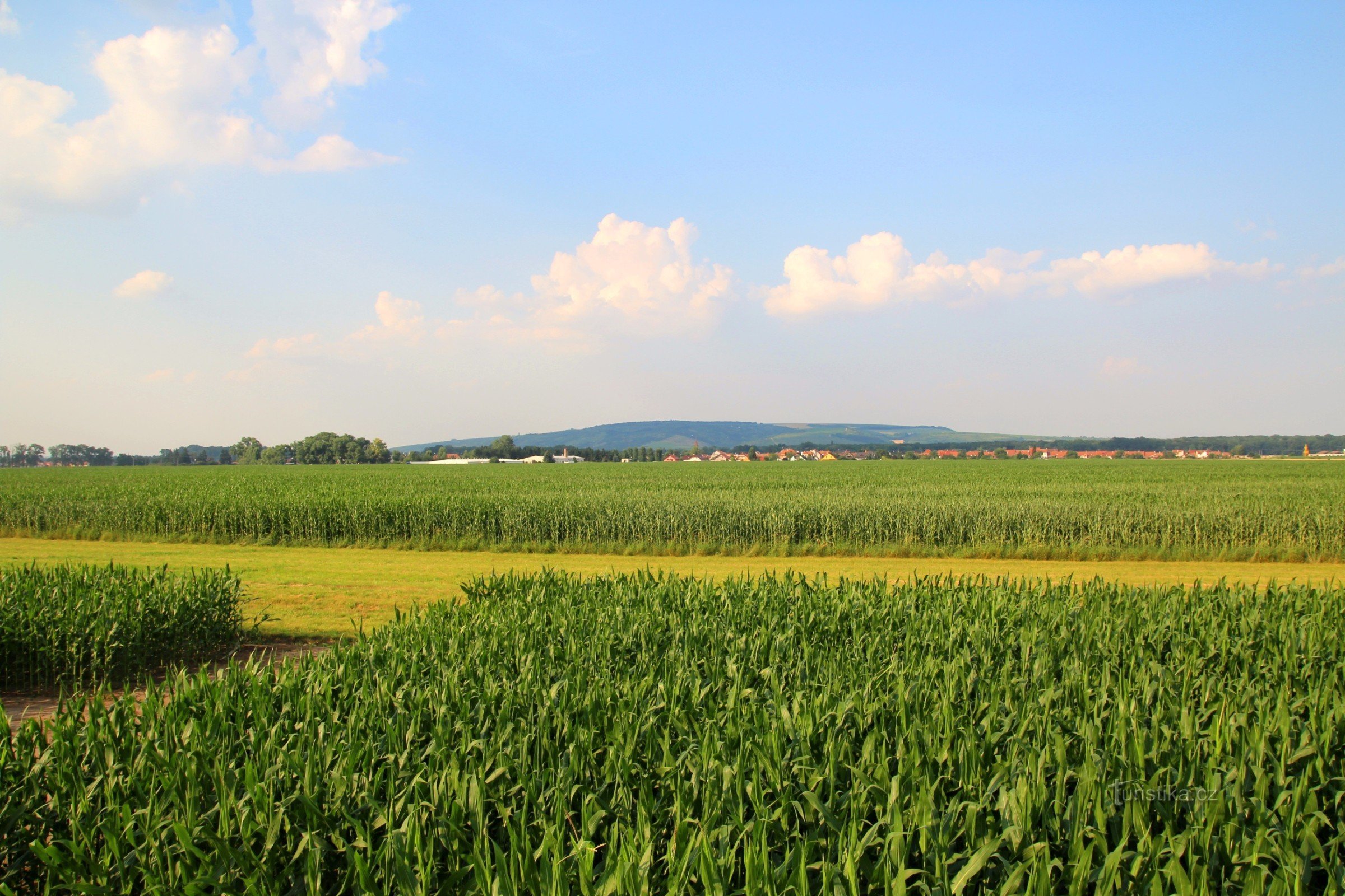 Uitzicht vanaf de zitstok richting Přísnotice, op de voorgrond een met gras begroeide strook van een veldvliegveld