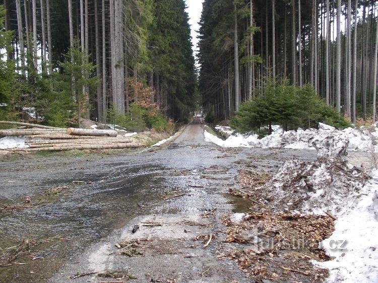 Vedere de la răscruce de drumuri spre Zvonejov