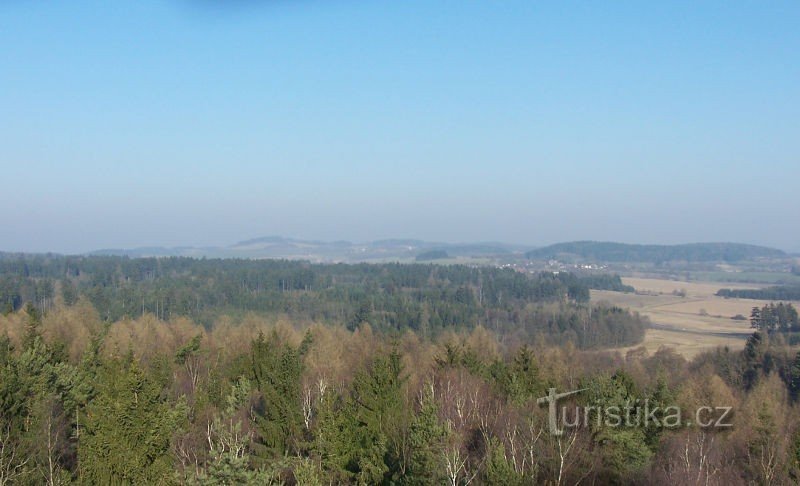 View from the lookout tower