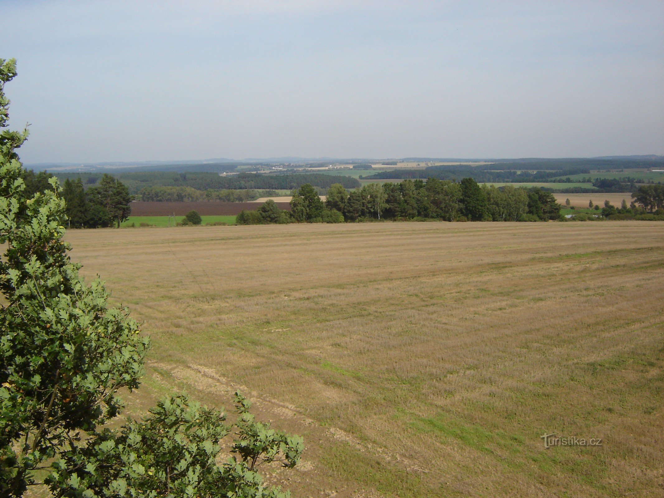 widok z wieży widokowej na krajobraz