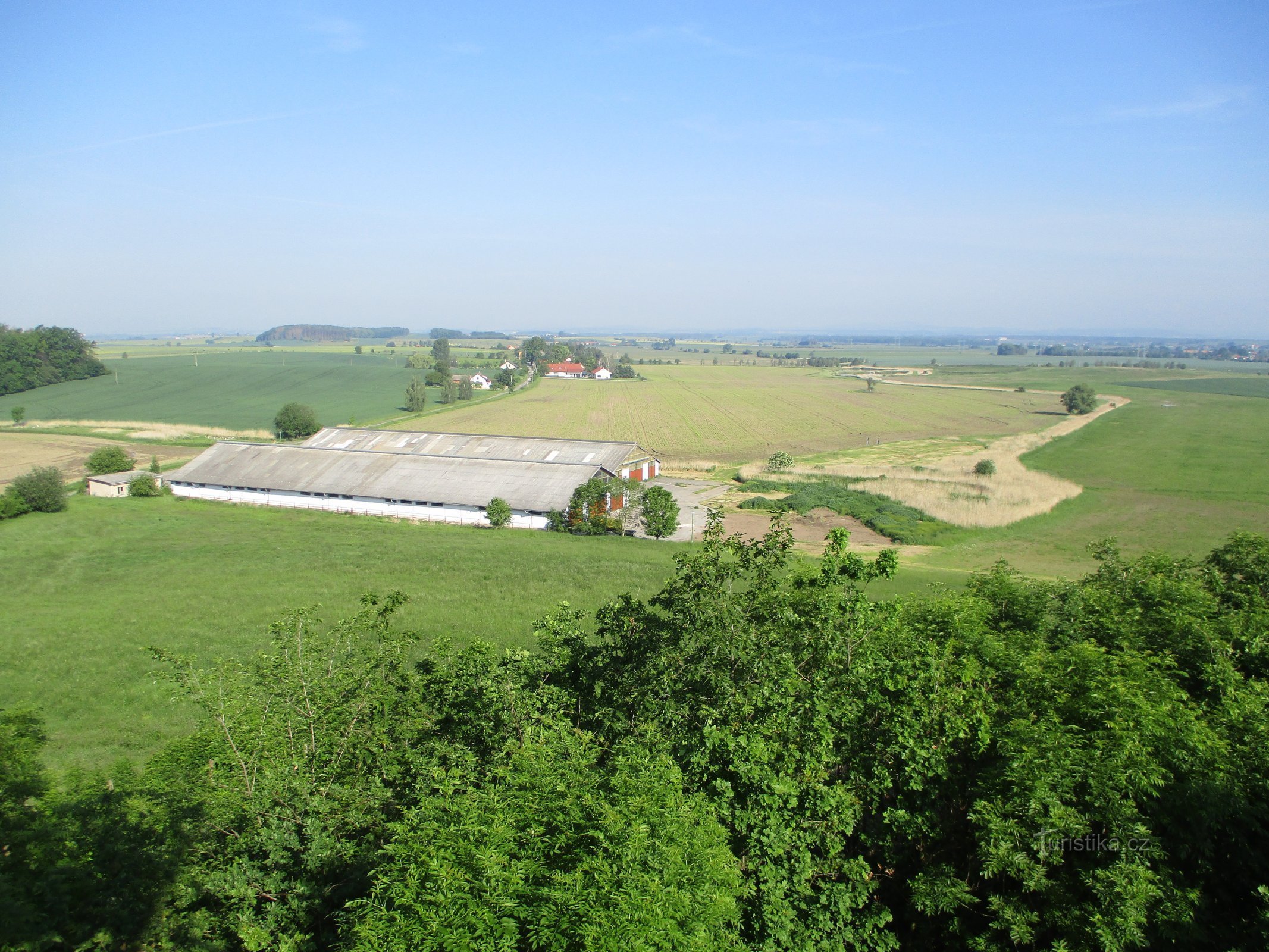 Widok z wieży widokowej (Libníkovice)