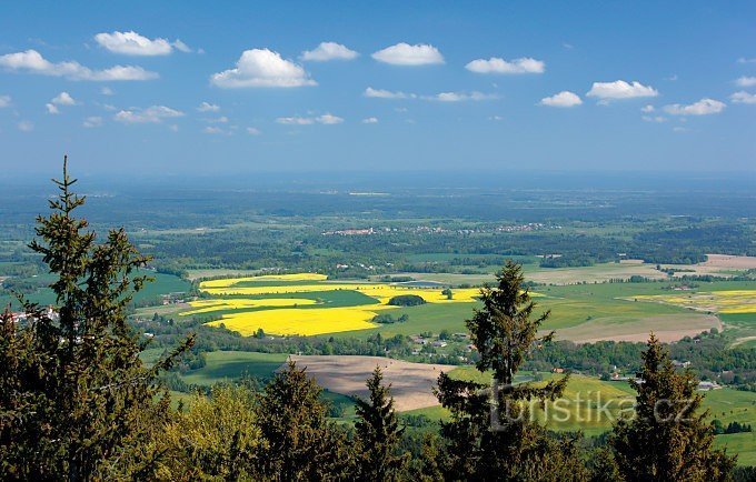 Vista da torre de vigia em Kraví hora no Novohradské hory