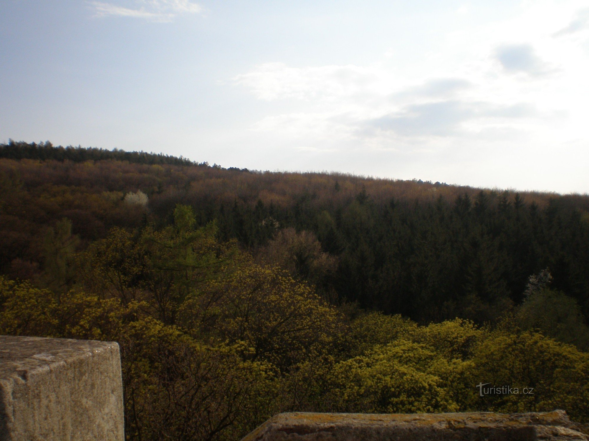 Widok z wieży widokowej na park leśny Cibulka