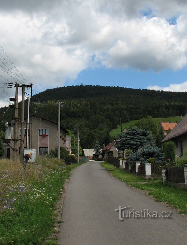 View from Ruprechtic towards the canine