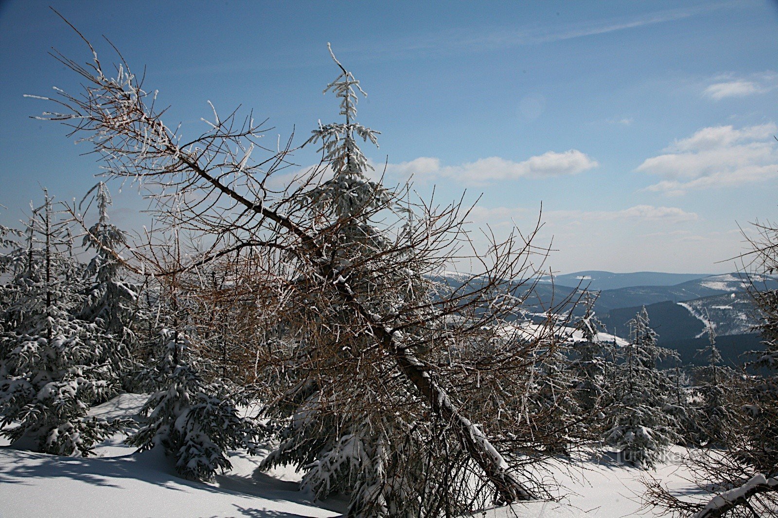 widok z trasy do Jelenki