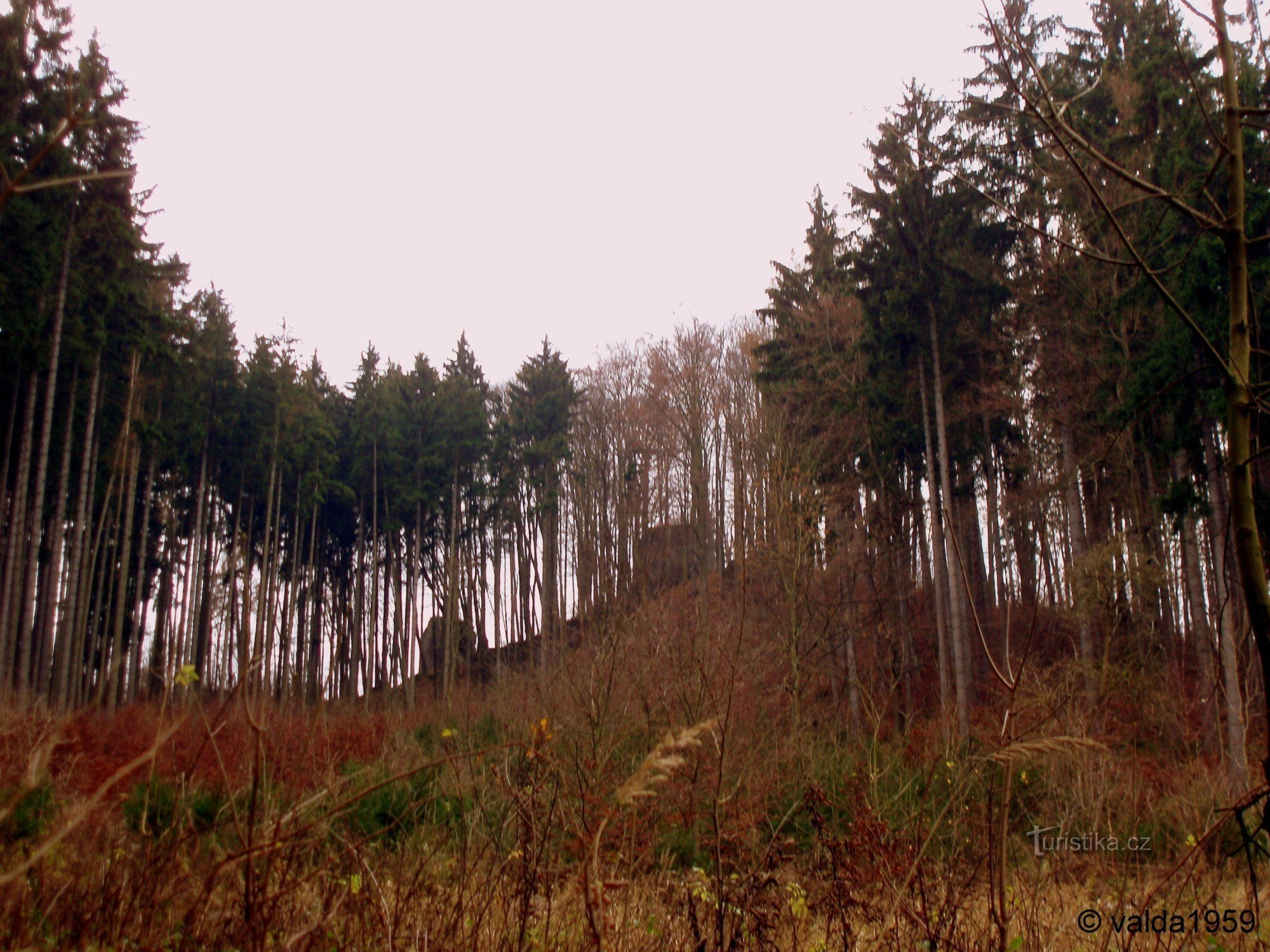 Blick vom Wanderweg unterhalb der Burg