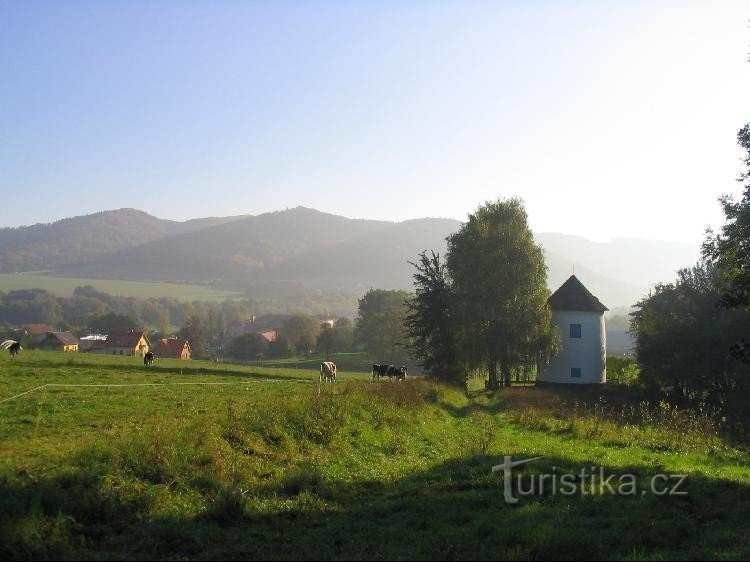 vue depuis le flanc de la colline de Vrchy, Zadní Babí hora au milieu derrière la cime de l'arbre