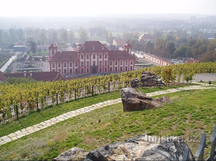 Kilátás a szőlőskertről Trojský zámekre