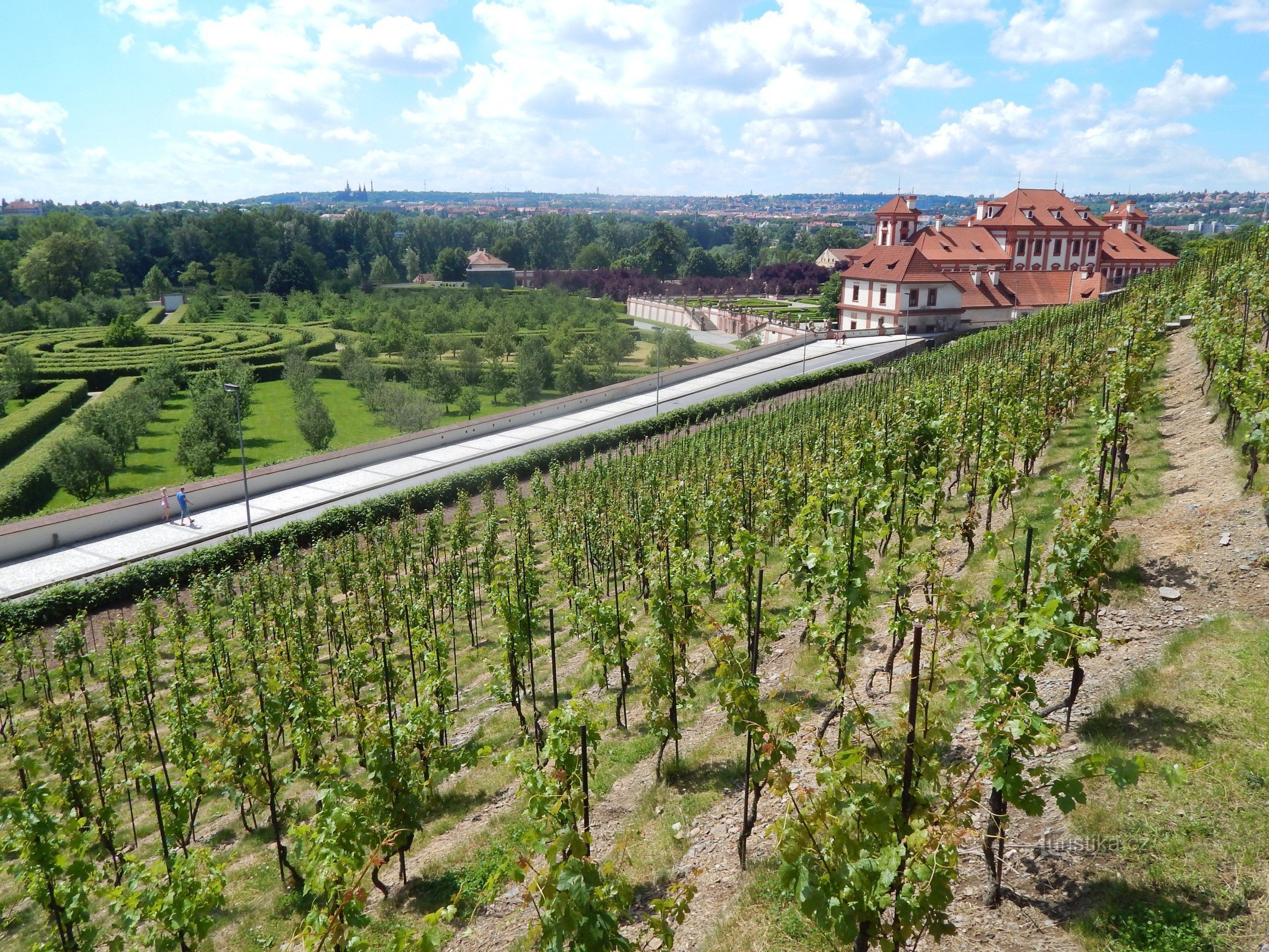 vedere din podgoria St. Kláry la Trojský zámek și grădină