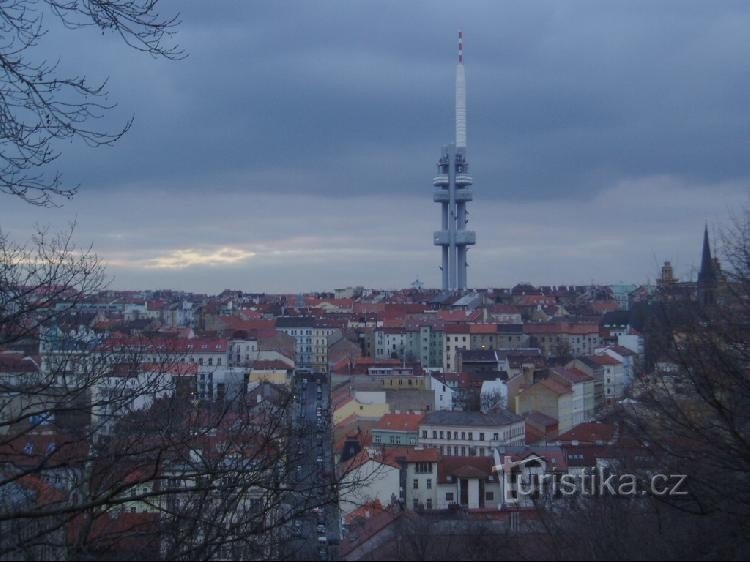 widok ze wzgórza Vítkov na stary Žižkov