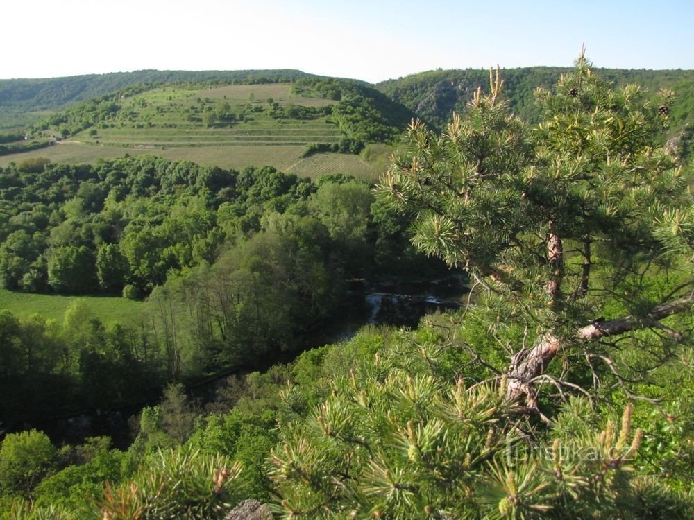 widok z punktu widokowego