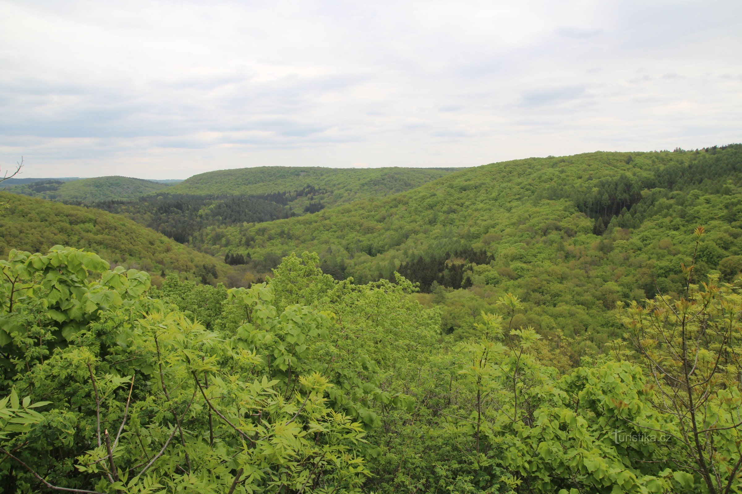 Widok z punktu widokowego na dolinę Říčka