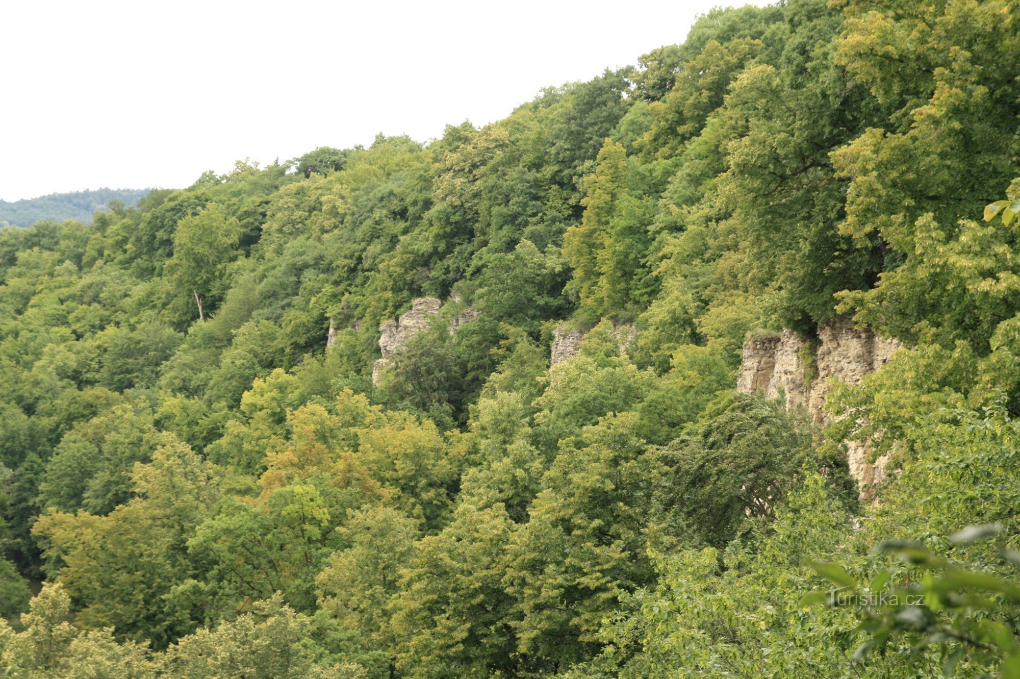 Pohled z vyhlídky na skalní stěny v PR Peliny