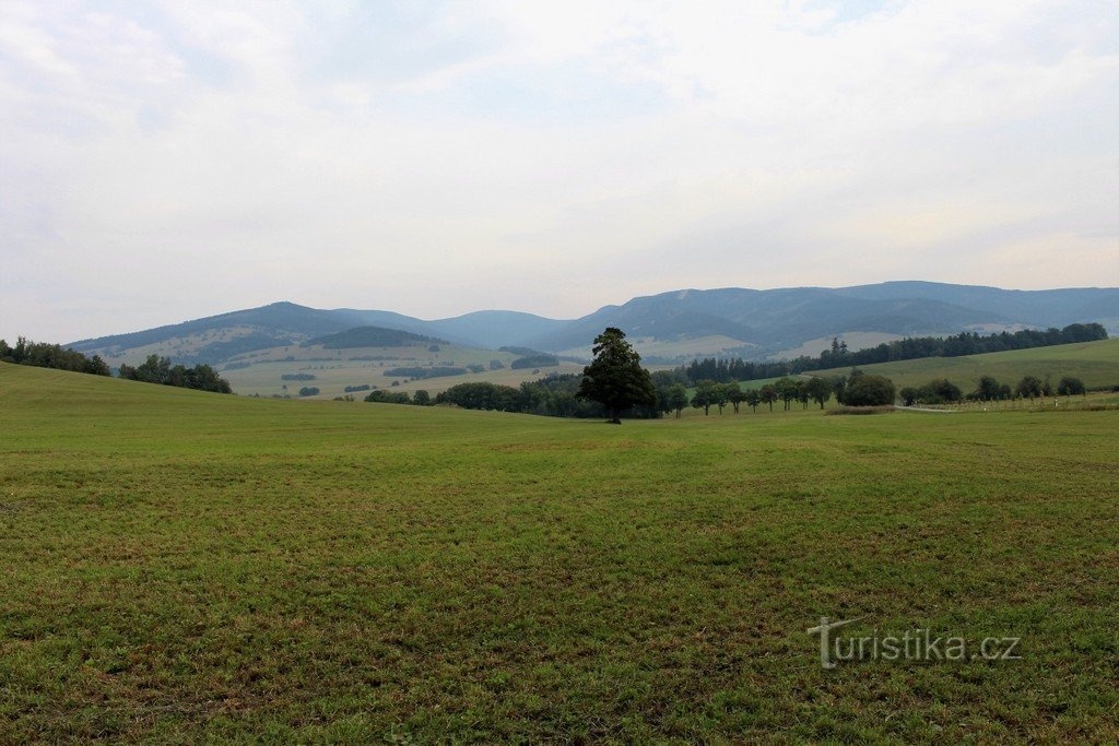 Blick aus der Höhe auf das Gebirge Králický Sněžník