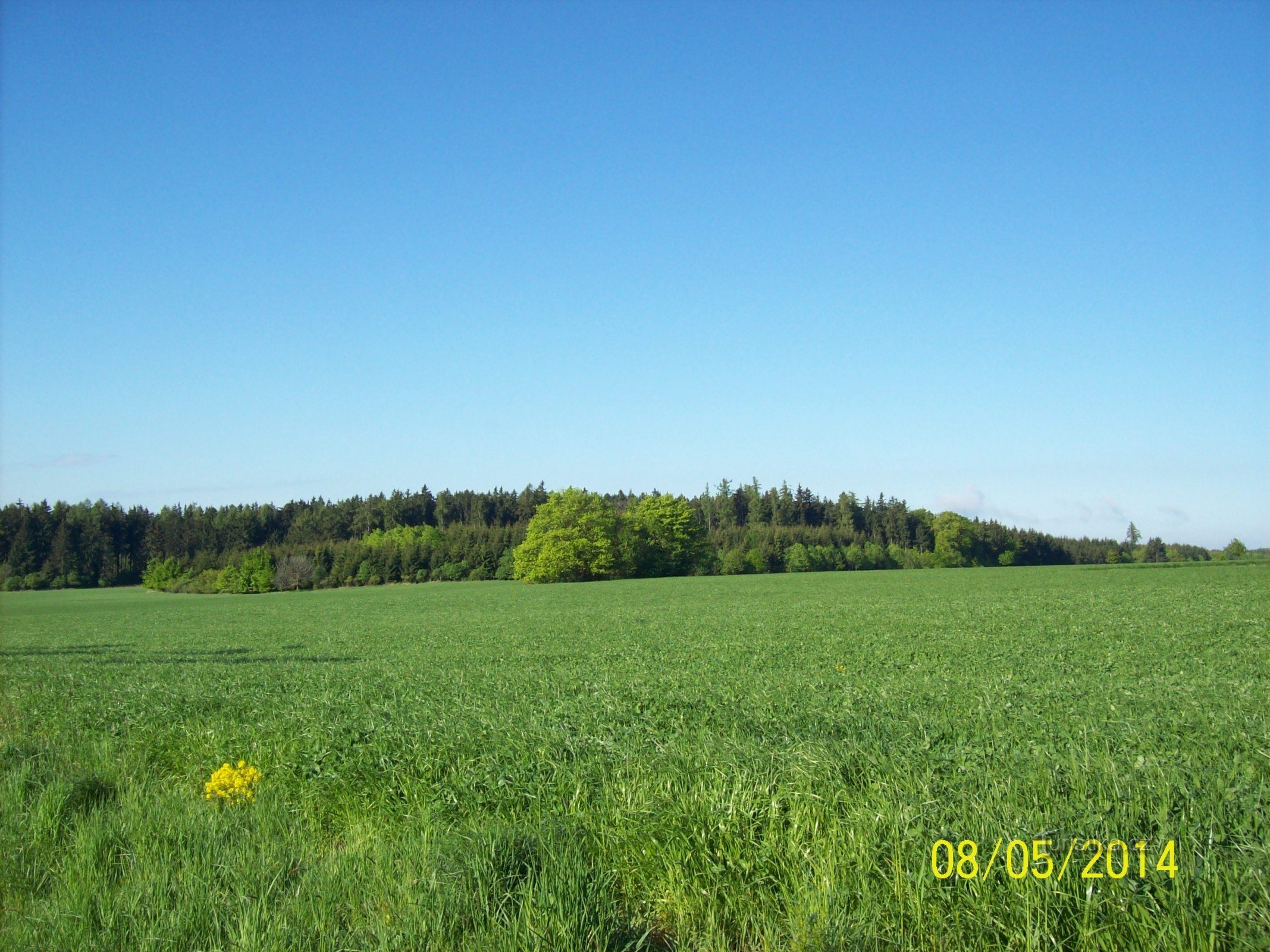 Blick hinter die Kapelle in den Wald Richtung Vysočany