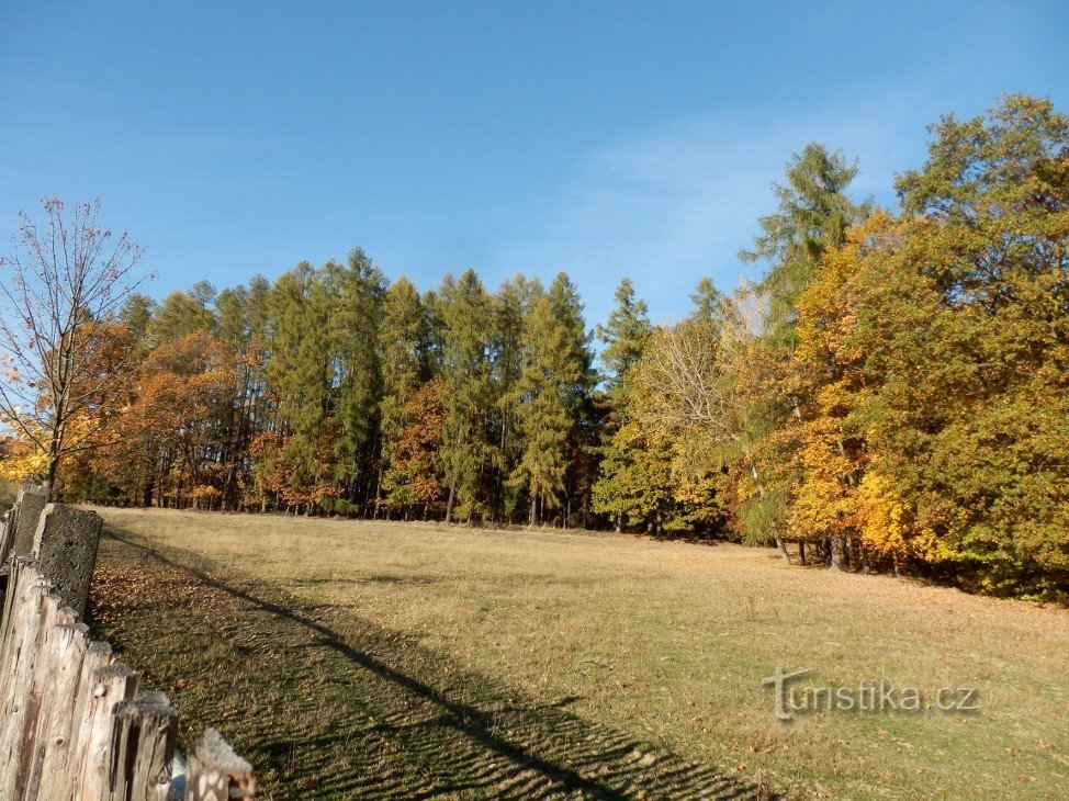 Vue derrière la clôture de la réserve naturelle, début novembre 2015