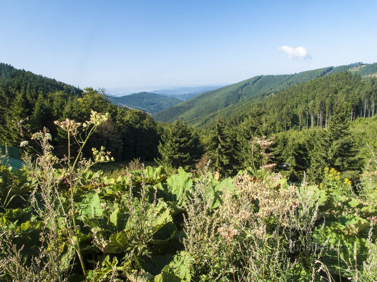 Pogled s sedla proti jugu