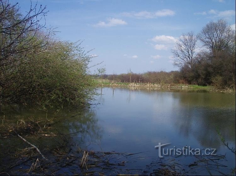 widok z północnego brzegu