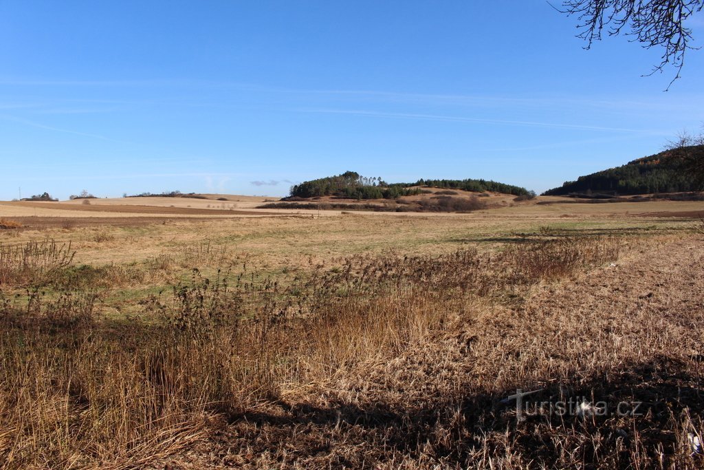 Blick von der Straße nach Budětice nach Norden