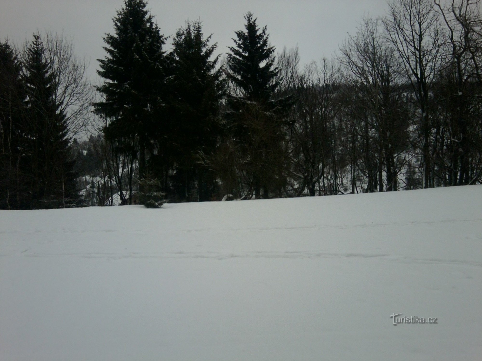 Blick vom Bahnhof