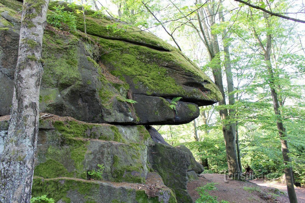 Vue depuis le sentier