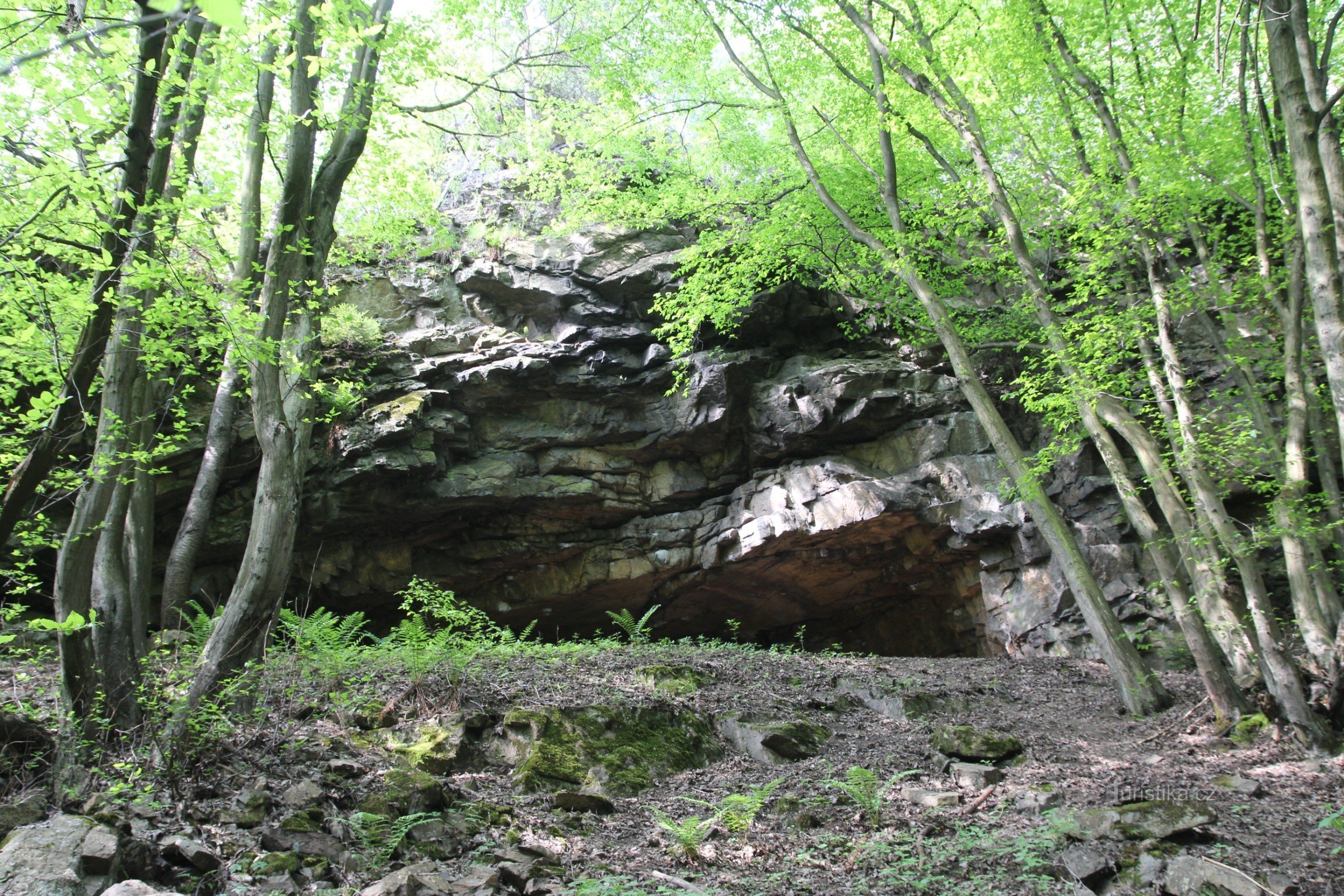 Blick vom Talhang zur Höhle