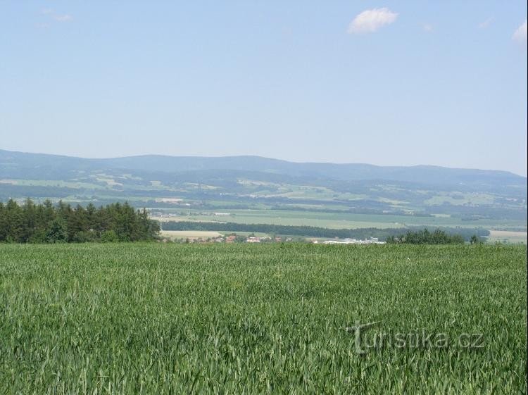 utsikt från Záhornice till Orlické Hory