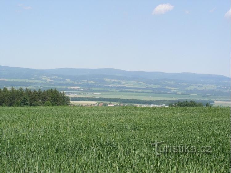 pogled z Záhornic na Orlické Hory