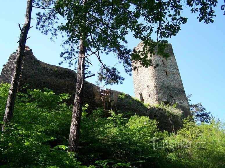 View from below on Libstejn