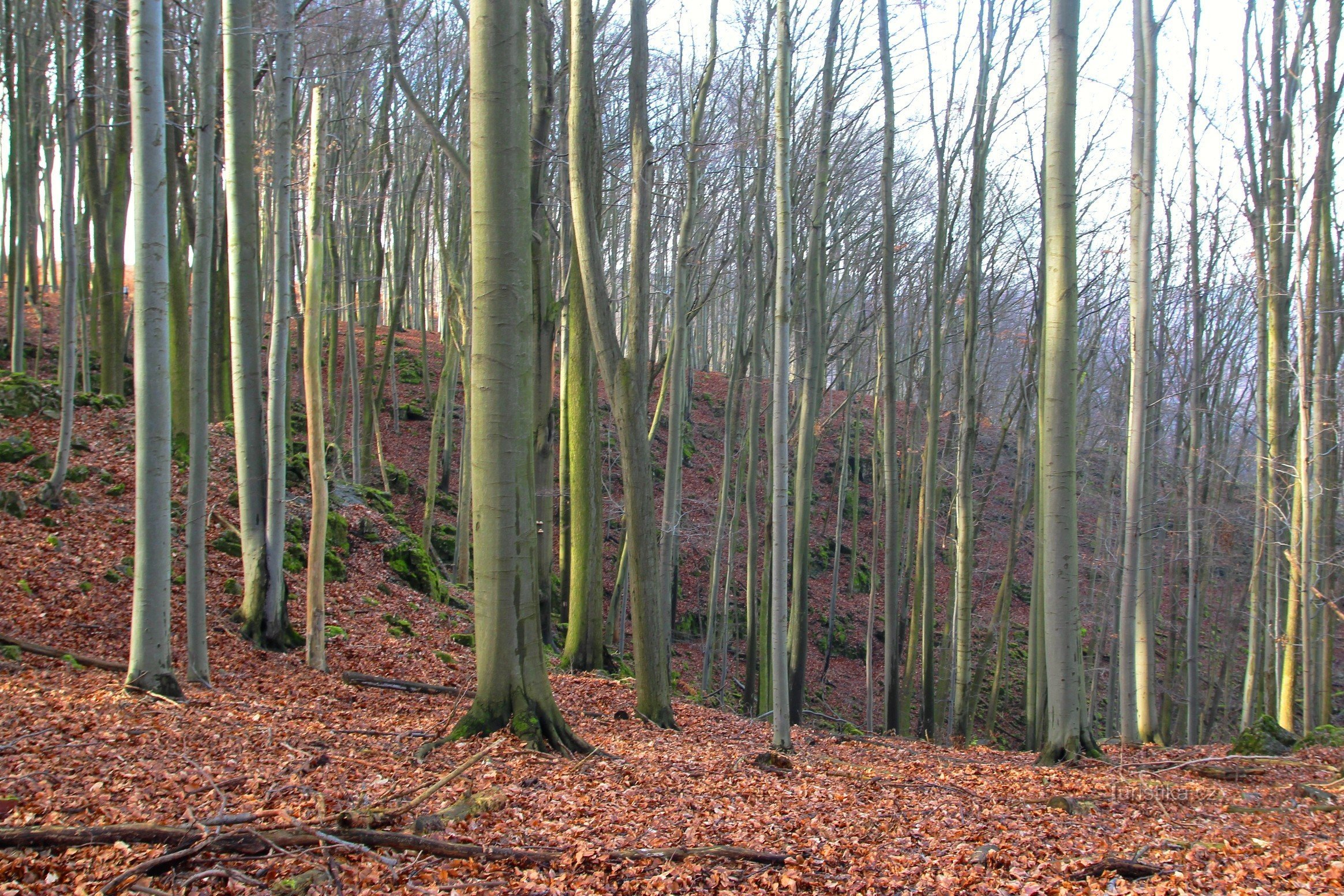 View from the green mark to Kamenné zlíbek