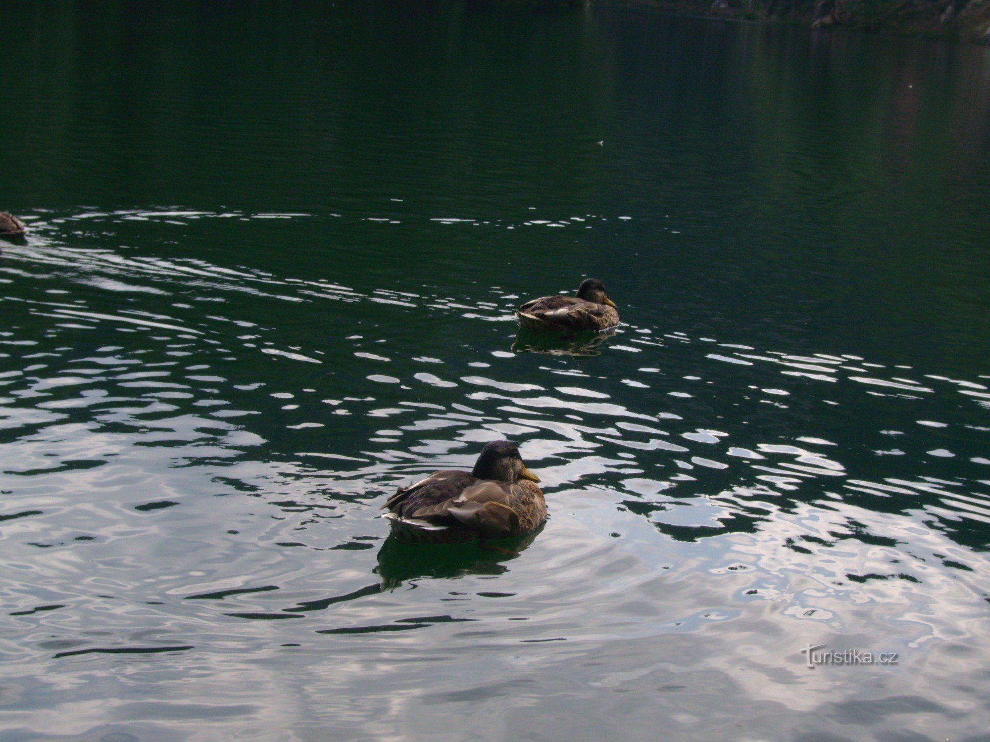 relajación en el lago