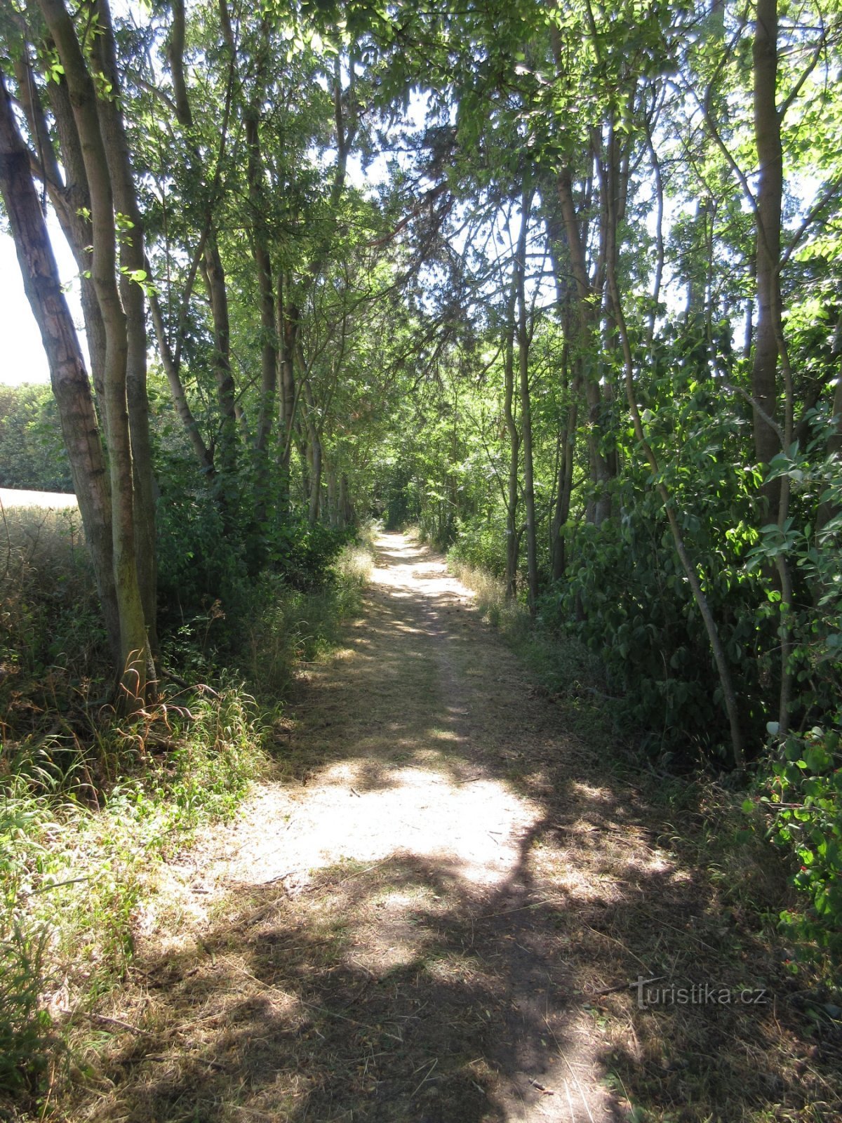 Ein bequemer Weg zum Aussichtsturm