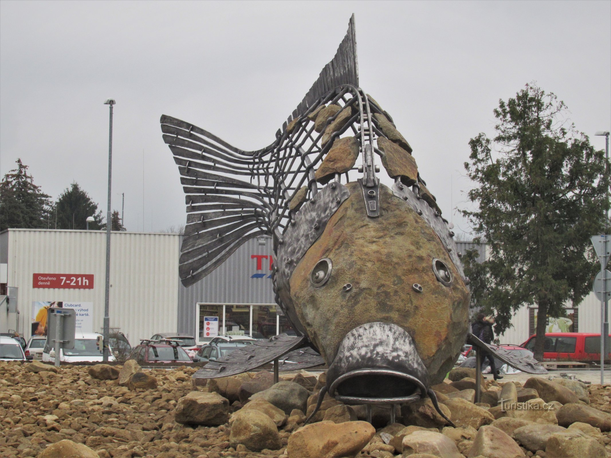 Pohořeličky carp