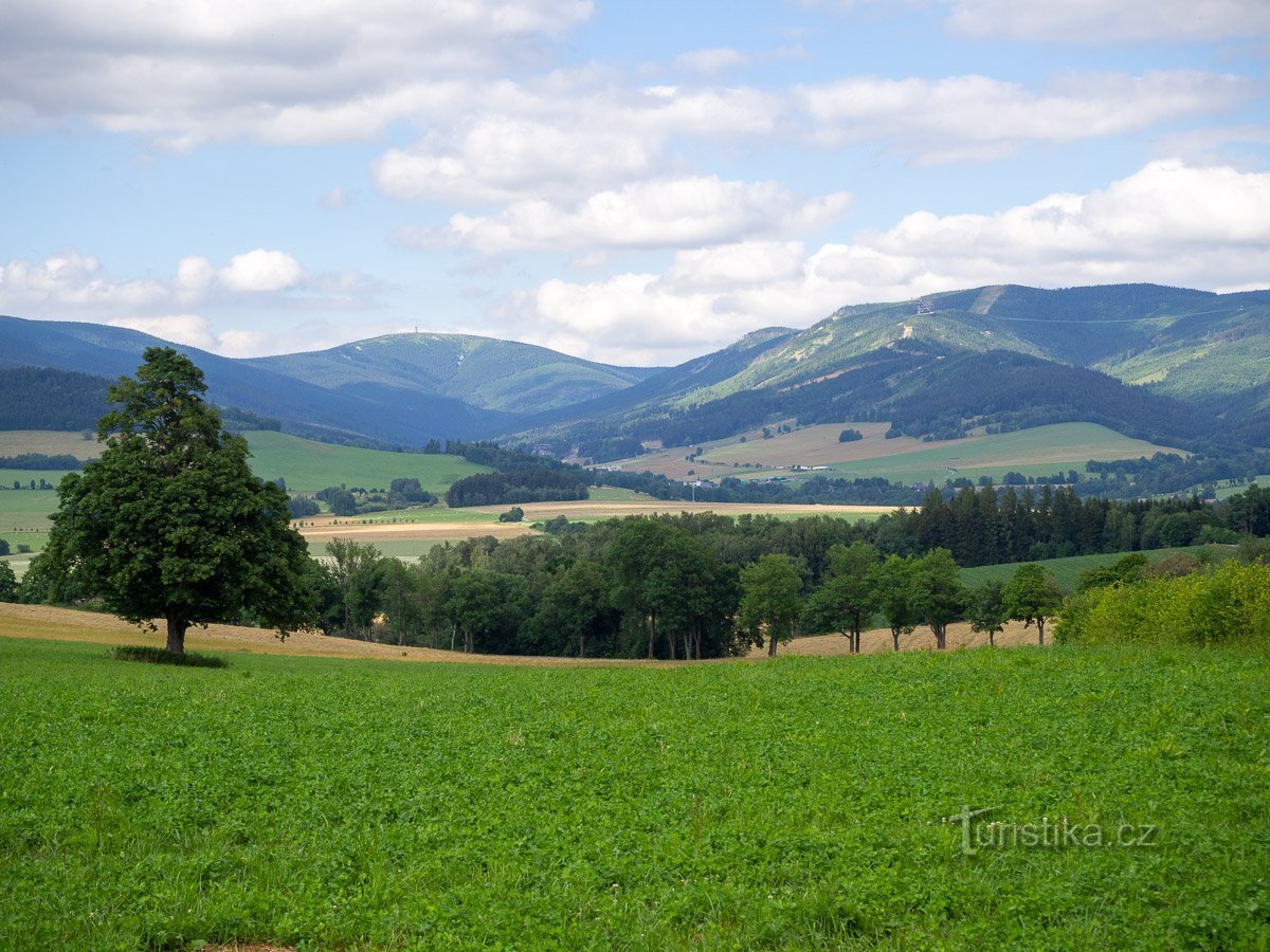 The land border passes through the Králický Sněžník Mountains