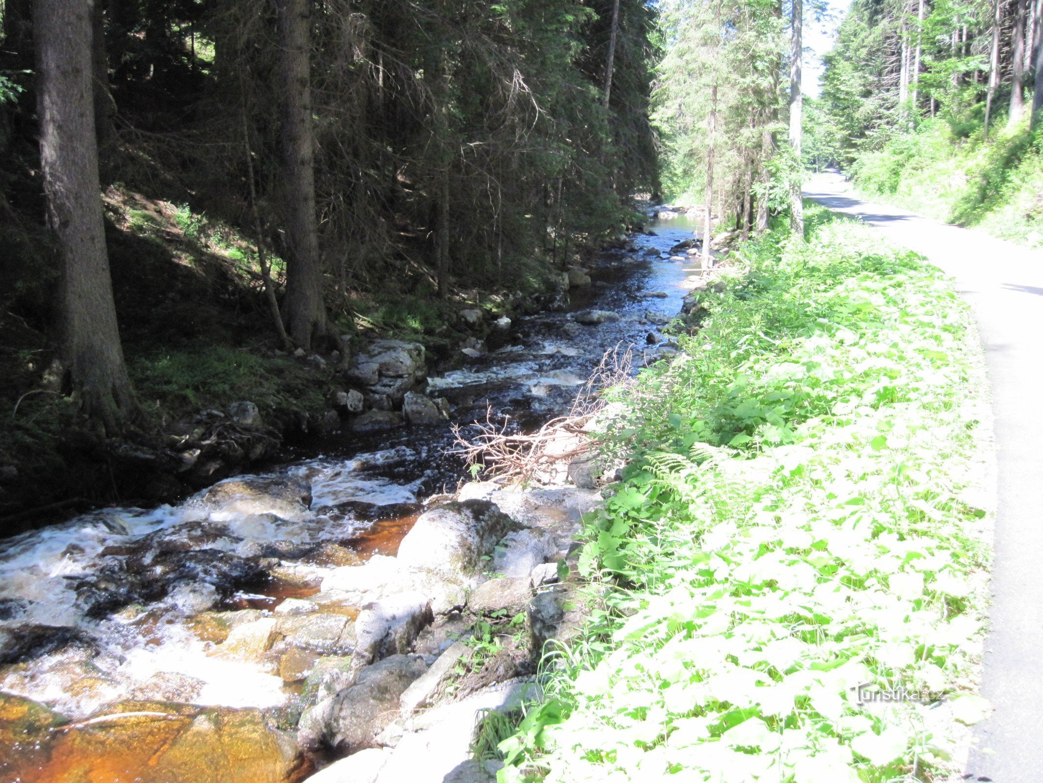 Arroyo de montaña