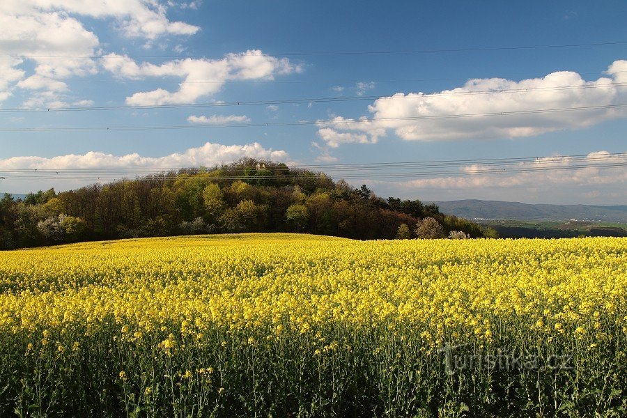 Pohradice berg